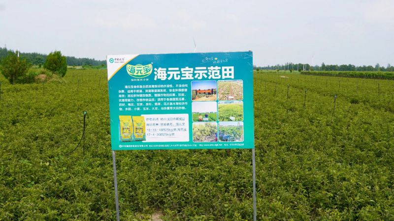 微信圖片01